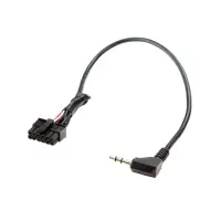 4-CTPIONEERLEAD.2
