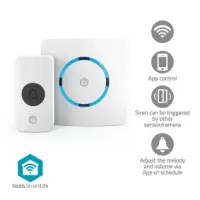WIFIDB11CWT