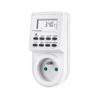 Таймер (цифровой программатор)