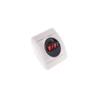 Встраиваемая акустическая розетка