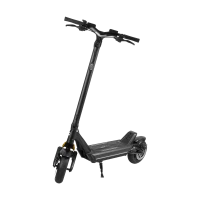 REBEL FAST WHEELS PRO MAX electric scooter