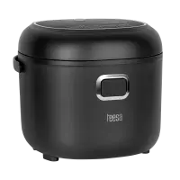 Tourist multicooker, rice cooker, 2L, 12-24V / 230V, 350W TEESA