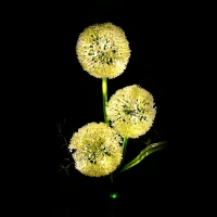 Декоративные садовые солнечные светильники Rebel - декоративный чеснок