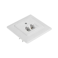Double surface mount box 8P4C feed-through