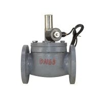 PNV GV25 2.5 inch tolen gas valve