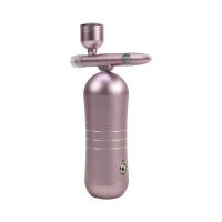 PNI WFO175 Pink Spray Facial Moisturizer, 40ml, with battery, pink