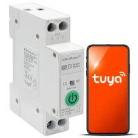 Qoltec Wi-fi DIN rail relay with electricity meter 63A TUYA SMART LIFE