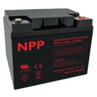 Battery 12V 40Ah T14(M6) Pb GEL NPP