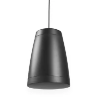 Purity6B Premium Ripatskõlar 100V 6,5” Must