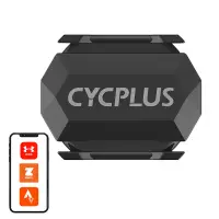 C3
