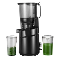 AMZCHEF SJ-036-BK aeglase kiirusega mahlapress (must)