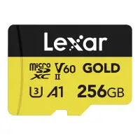LMSGOLD256G-BNNNG