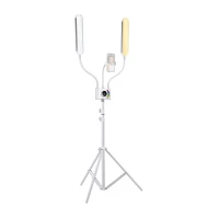 NEEWER BH40B Esthetician Light Kit
