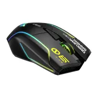 DM06