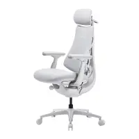 LiberNovo Omni Pro 45 cm Ergonomic Chair (White)