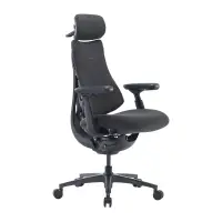 LiberNovo Omni Pro 48 cm Ergonomic Chair (Graphite)