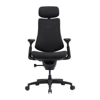 LiberNovo Omni SE 48 cm Ergonomic Chair (Black)