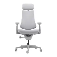 LiberNovo Omni 45 cm Ergonomic Chair (Gray)