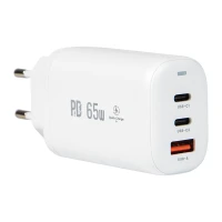 PSSEUSB65W