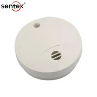 Autonoomne suitsuandur