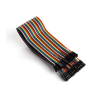 40 PINS 30 CM FEMALE TO FEMALE JUMPER WIRE (FLAT CABLE)