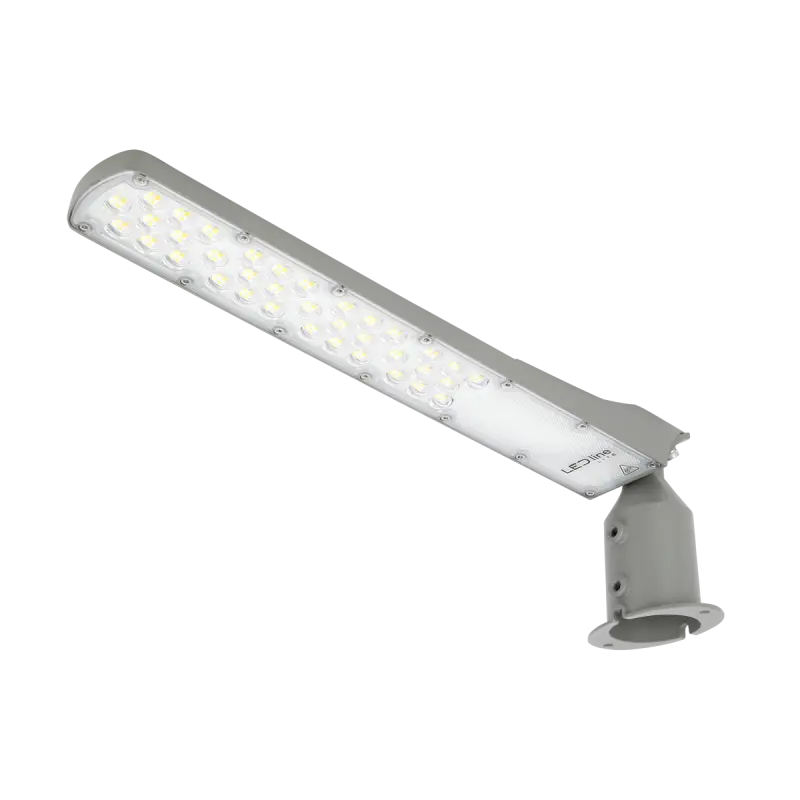 LED tänava valgusti Flamingo 100W 4000K 10000lm hall IK08