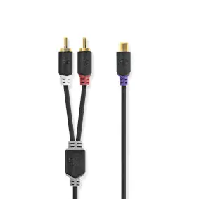 Stereo Audio Cable, 2x RCA Male, RCA Female, Gold Plated, 0.20 m