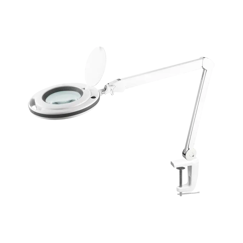 Rebel 5D 10W 6500 K Workshop Lamp with Magnifying Glass