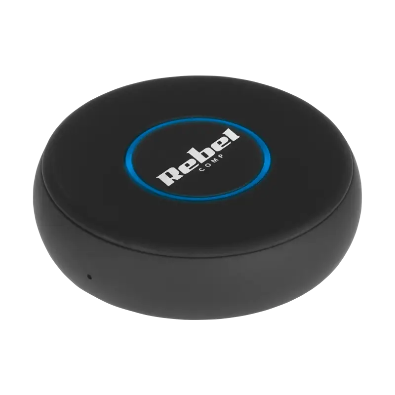 Rebel B20 Bluetooth audio receiver