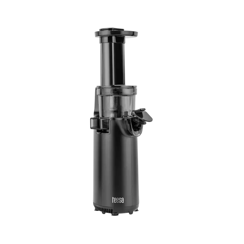 Slow Juicer