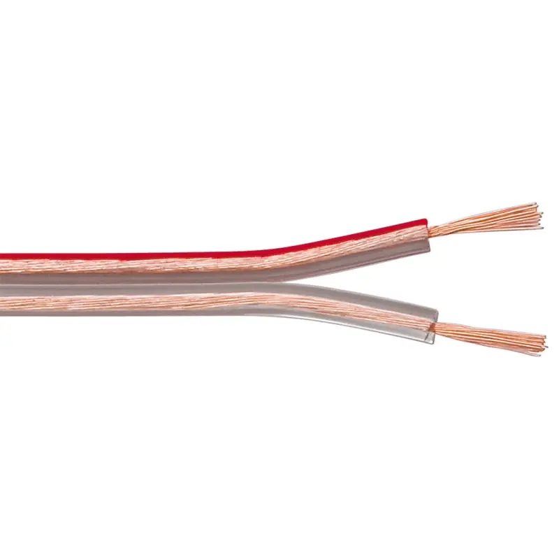 Speaker Cable transparent