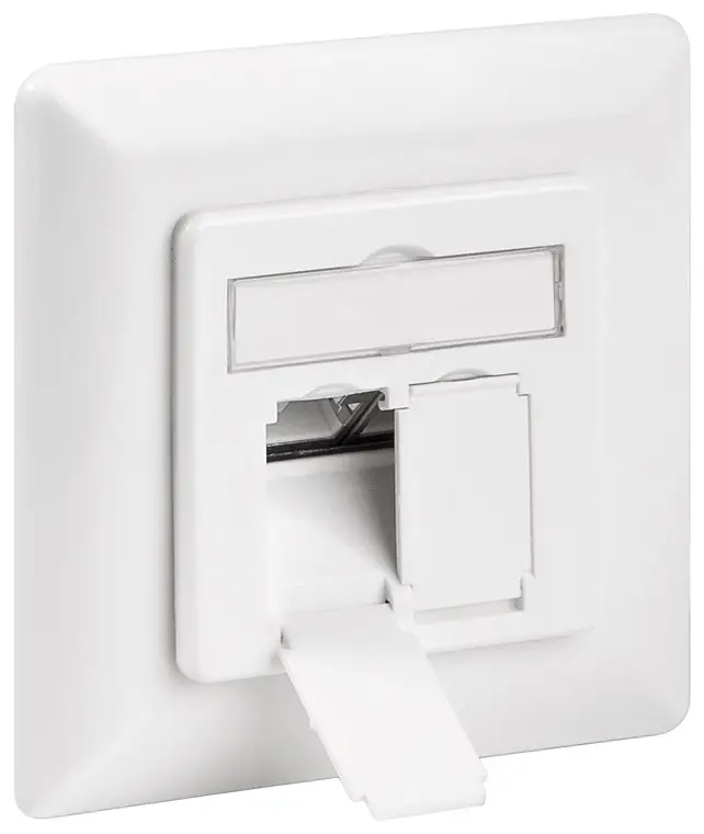 CAT 6A Wall Plate for Flush Mounting, Signal white RAL 9003