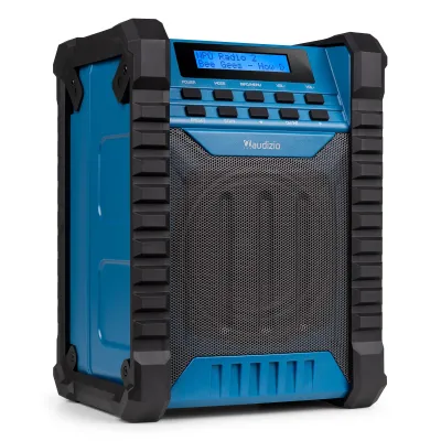 Temi Jobsite DAB+/FM Radio with Battery