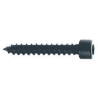Screws (cylinder head) 5 x 30 mm