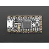 Adafruit ItsyBitsy M0 Express