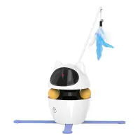 RWJ-09