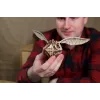 "Kuldne Kitu" Harry Potter 120-osa vineer konstuktor