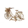 "Dutch bicycle" 75-part plywood constructor