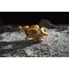 "NASA kuukulgur" 319-osa vineer konstuktor