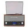 Retro raadio tume FM DAB+ vinüül USB BT Frisco