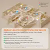 SONOFF iPlug Zigbee Smart Plug, S60 Series