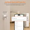 SONOFF iPlug Zigbee Smart Plug, S60 Series