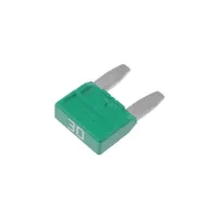Car mini fuse 30A Green