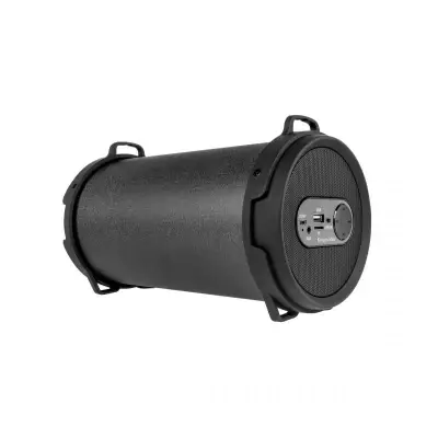 Bluetooth speaker 12W FM-radio, micro SD, AUX, KM Joy