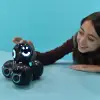 Cue robot