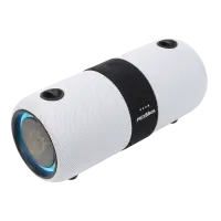 PM-10W