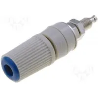 BS-244DSM-BL