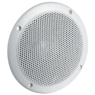 FR 10 WP - 4 Ohm (white) - Saltwater resistant 10 cm (4") full-range driver