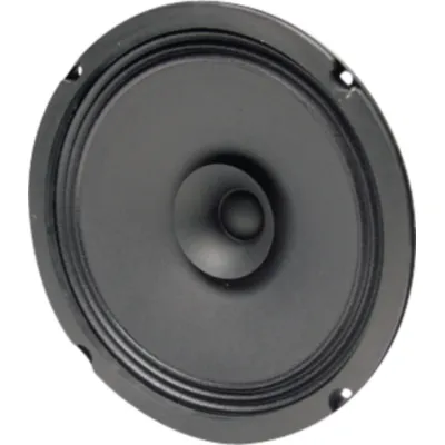 BG 20 - 8 Ohm 20 cm (8") full-range speaker