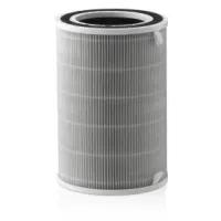 Air cleaner filter